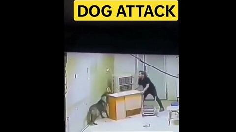 DOG ATTACK LIVE CCTV FOOTAGE SHORTS | DOG ATTACK LIVE#shorts #dogattack