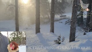 Another Day.... Waiting for spring! | Adventures In Reality