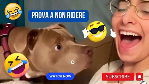 🤭😂🤣 Animali divertenti per bambini e adulti | prova a non ridere 🤭😂🤣