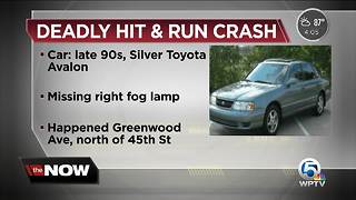 Driver sought after deadly hit-and-run crash in West Palm Beach