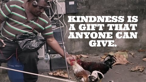 Adorable Guy Fearlessly Feeds a Flock of Chickens From His Hand