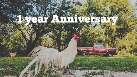 1 Year YouTube Anniversary. trucks, guns and steaks.