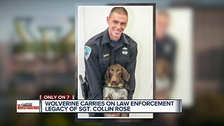 Wolverine carries on law enforcement legacy of Sgt. Collin Rose