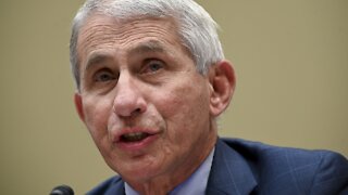 Fauci Downplays Differences With President Trump