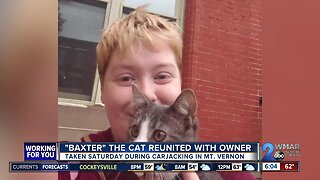 Mt. Vernon carjacking victim reunited with beloved cat