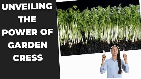 Garden cress, also known as Lepidium sativum, is a small, fast-growing herb