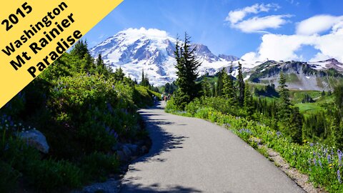 Washington: Mt Rainier national park, Paradise lookout, camping, hiking and information center.