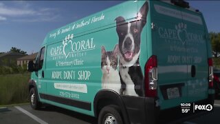 Coviello family request bringing donations to animal shelter