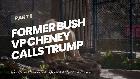 Former Bush VP Cheney calls Trump 'coward' in video for daughter Liz's House reelection campaig...