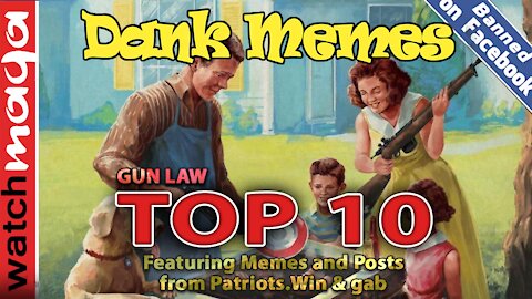 TOP 10 MEMES Gun Law
