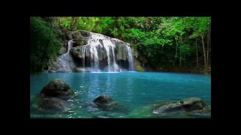 Waterfall Jungle Sounds Relaxing Tropical Rainforest Nature Sound Singing Birds