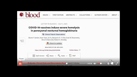 NIH: CONVID VACCINES - 50% GET SEVERE DESTRUCTION OF RED & WHITE BLOOD CELLS (NUREMBERGTRIALS.NET)