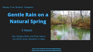 5 Hour Gentle Rain on a Spring ASMR