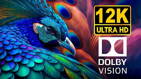 Amazing World of Birds - 12K HDR 120fps Dolby Vision (Bird Sound) #12k #birds #wildlife