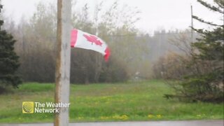 Winds and rain soak yards and keep flags waving