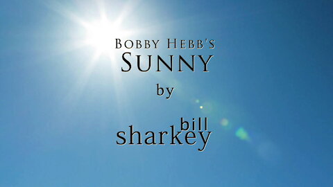 Sunny - Bobby Hebb (cover-live by Bill Sharkey)
