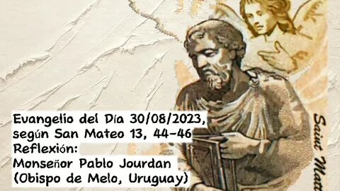 Evangelio del Día 30/08/2023, según San Mateo 13, 44-46 - Monseñor Pablo Jourdan
