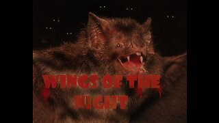 Horrifying Bat Tale: "Wings of the Night" (Jeffrey LeBlanc)