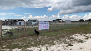 VAK UNDER CONSTRUCTION IN NORTH FLORIDA