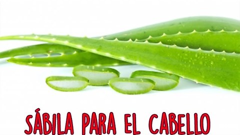 Sabila Para El Cabello