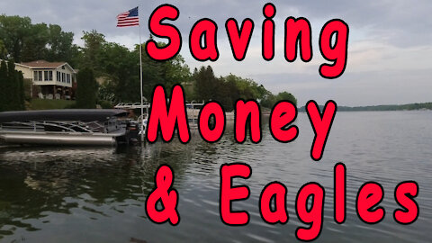 Saving Money and Eagles