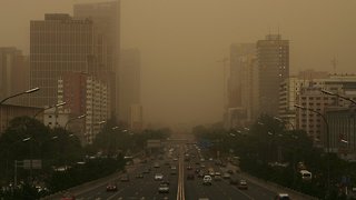 Study Shows Air Pollution Might Have Negative Effect On Brain Function