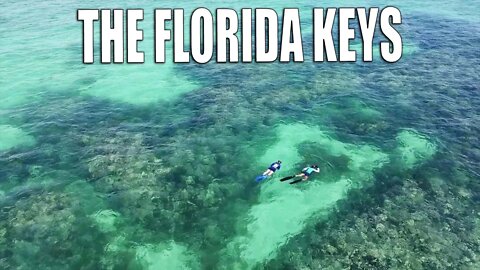 Swimming with TROPICAL FISH in the Florida Keys - Discover the OCEAN