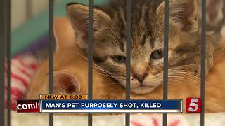 Family Pet Shot, Killed In Dickson County
