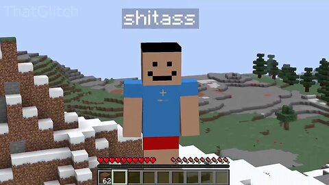 "HEY SHITASS" minecraft compilation