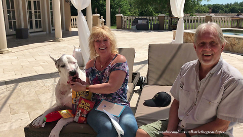 Max the Great Dane Opens Cards and Gifts in Katie's Memory ~ Thank You So Much