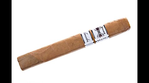 Iconic Leaf Recluse Amadeus Toro Cigar Review