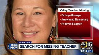 Search is on for a missing Valley teacher