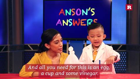 Boy genius Anson Wong turns egg into bouncy ball in kid-friendly science experiment | Anson's Answers