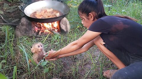Do you like Cute Baby Monkey? Cooking Chicken and Eating in jungle @PrimitiveSurvivalSkillss