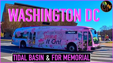 Washington DC Tidal Basin Cherry Blossoms & Franklin D Roosevelt Memorial FDR Van life Travels DMV