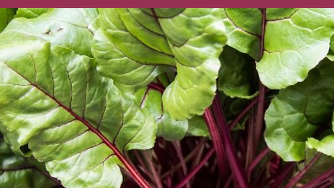 Beet Leaves To Fight Alzheimer's and Anemia