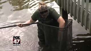 4. Fenner Nature Center enlists volunteers to help move critters