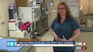 Man accused of killing girlfriend's dog will not be prosecuted