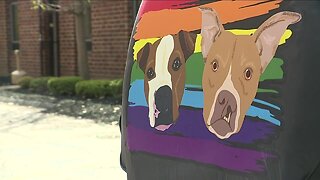 Dog training center in Cleveland gets creative with grand opening amid pandemic