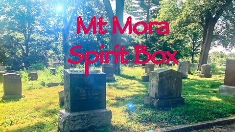 Mt Mora Cemetery Spirit Box