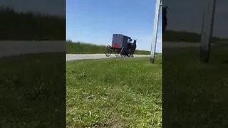 Just a Amish Buggy