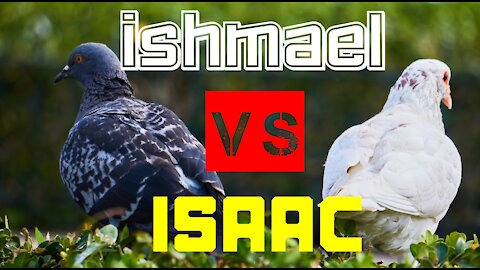 Who was the son God made his Covenant with? Ishmael or Isaac?