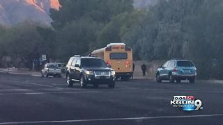 Pedestrian hit by school bus dies