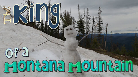 The King of a Montana Mountain