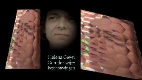 Helena Gwyn - Trans-gen-der-wijze beschouwingen - Open-Vizier