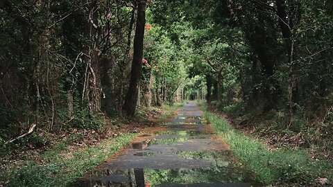 Rain over a beautiful paved forest path in Veélodyssée, France