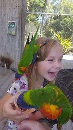 Little girl feeds the birds