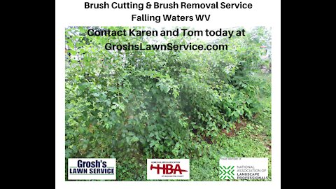 Brush Cutting Falling Waters WV Brush Removal Landscaping Contractor