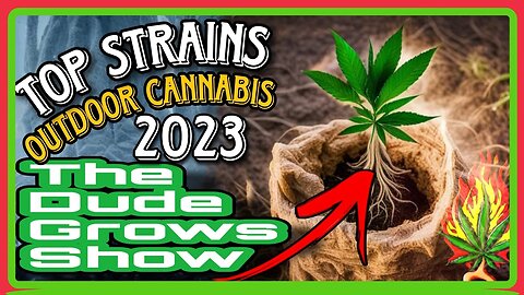 Cannabis Cultivation Outdoors: How to Select Strains for Quality Growth - Dude Grows 1,471