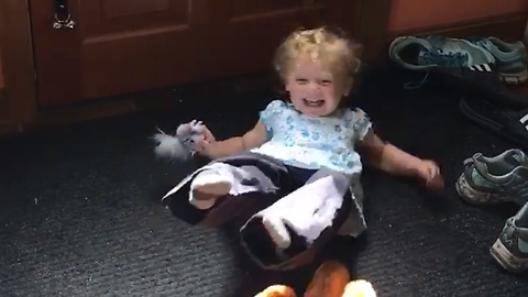 Toddler meets new puppy for the first time